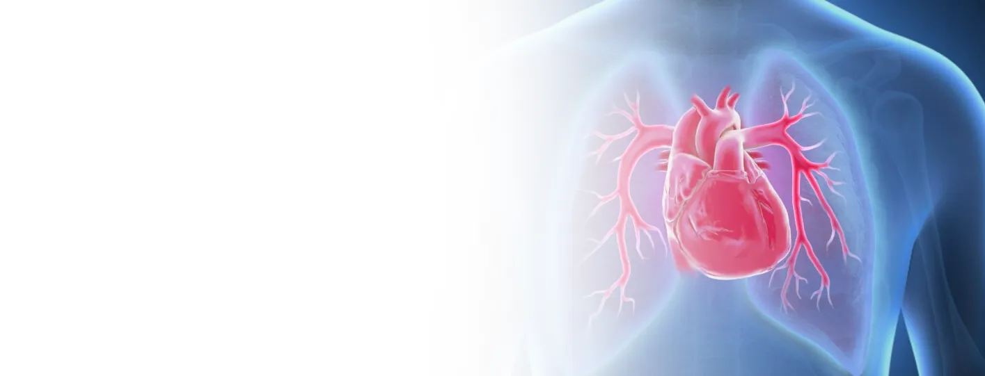Pulmonary Circulation Disorders: Causes, Symptoms, and Treatments